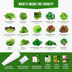 15 Lettuce & Salad Greens Seeds Variety Pack - Lettuce Garden Starter Kit with Plant Labels | 7300+ Non-GMO Heirloom Seeds for Indoor, Outdoor Planting: Arugula, Spinach Kale, Iceberg Lettuce Seeds - Organo Republic seeds store 15 Lettuce & Salad Greens Seeds Variety Pack - Lettuce Garden Starter Kit with Plant Labels | 7300+ Non-GMO Heirloom Seeds for Indoor, Outdoor Planting: Arugula, Spinach Kale, Iceberg Lettuce Seeds