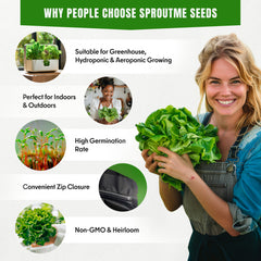 15 Lettuce & Salad Greens Seeds Variety Pack - Lettuce Garden Starter Kit with Plant Labels | 7300+ Non-GMO Heirloom Seeds for Indoor, Outdoor Planting: Arugula, Spinach Kale, Iceberg Lettuce Seeds - Organo Republic seeds store 15 Lettuce & Salad Greens Seeds Variety Pack - Lettuce Garden Starter Kit with Plant Labels | 7300+ Non-GMO Heirloom Seeds for Indoor, Outdoor Planting: Arugula, Spinach Kale, Iceberg Lettuce Seeds