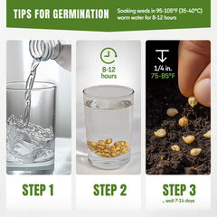 Jalapeno Pepper Seeds 50+ Seeds – Non-GMO Medium-Hot Chili Pepper - Organo Republic seeds store Jalapeno Pepper Seeds 50+ Seeds – Non-GMO Medium-Hot Chili Pepper