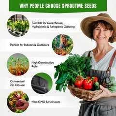 20 Vegetable Seeds For Planting Indoor Outdoor Variety Pack Home Garden Starter Kit Plant Marker 3900+ Non-GMO Heirloom Broccoli Cabbage Zucchini Cauliflower Pumpkin Celery Pea Cucumber Tomato Arugula - Organo Republic seeds store 20 Vegetable Seeds For Planting Indoor Outdoor Variety Pack Home Garden Starter Kit Plant Marker 3900+ Non-GMO Heirloom Broccoli Cabbage Zucchini Cauliflower Pumpkin Celery Pea Cucumber Tomato Arugula