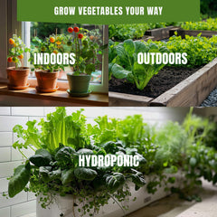 Cucumber Marketmore 76 Seeds 200+ Seeds – Non-GMO Slicing Cucumber - Organo Republic seeds store Cucumber Marketmore 76 Seeds 200+ Seeds – Non-GMO Slicing Cucumber