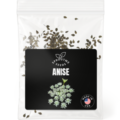 Anise Seeds 200+ Seeds – Non-GMO, Aromatic Herb for Tea & Baking - Organo Republic seeds store Anise Seeds 200+ Seeds – Non-GMO, Aromatic Herb for Tea & Baking