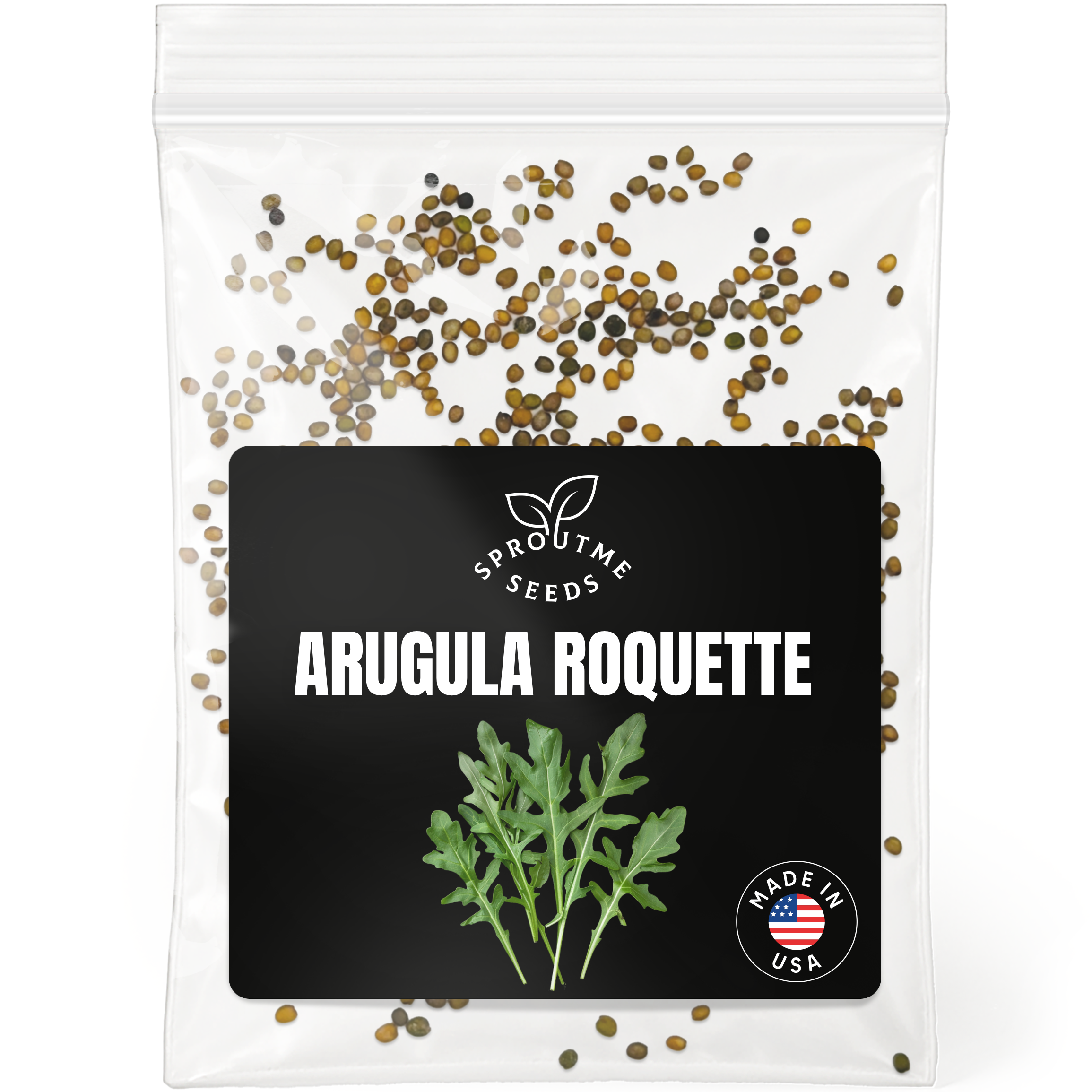 Arugula Roquette Seeds 500+ Seeds – Non-GMO, Fast-Growing Salad Greens - Organo Republic seeds store Arugula Roquette Seeds 500+ Seeds – Non-GMO, Fast-Growing Salad Greens