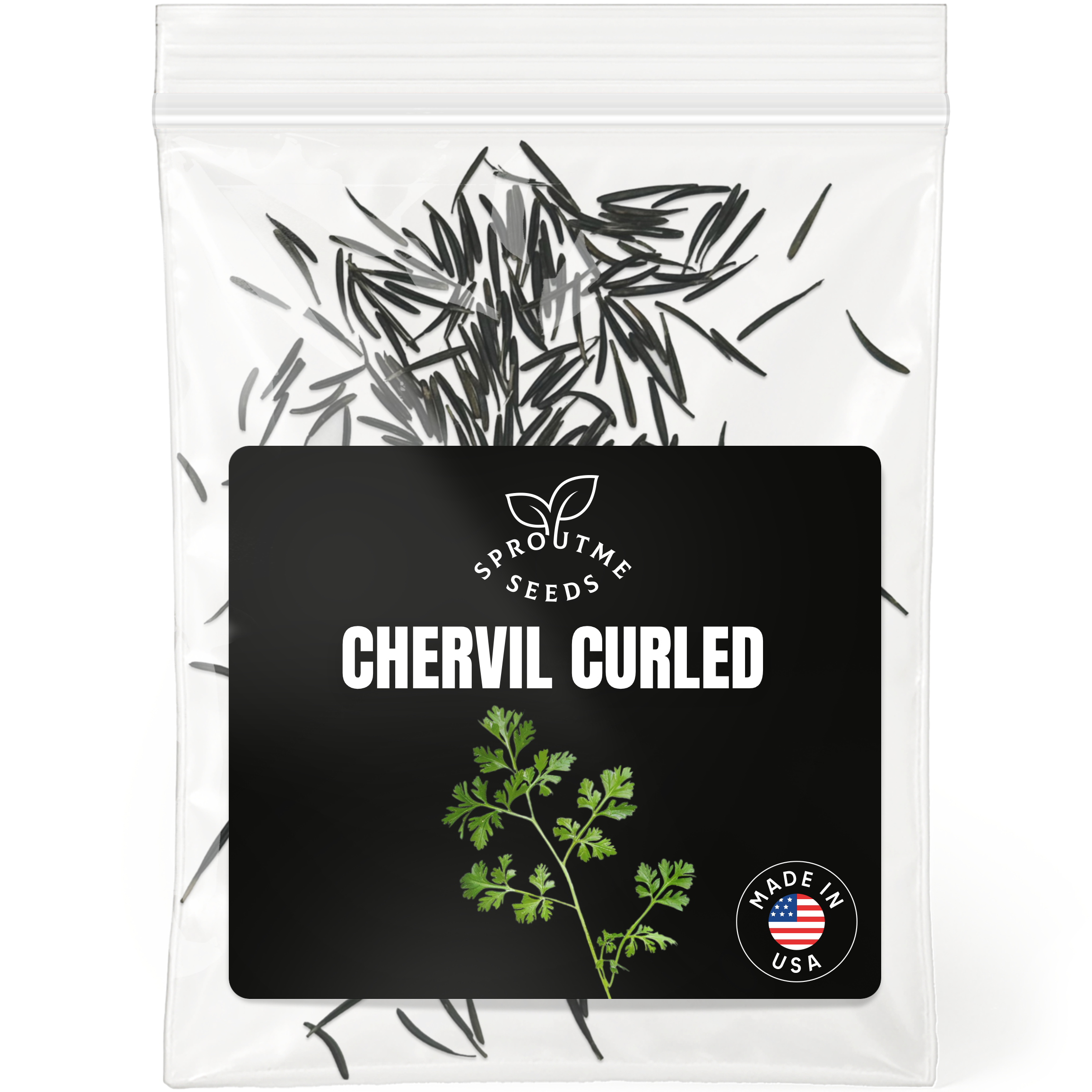 Chervil Seeds 300+ Seeds – Non-GMO Gourmet Culinary Herb - Organo Republic seeds store Chervil Seeds 300+ Seeds – Non-GMO Gourmet Culinary Herb
