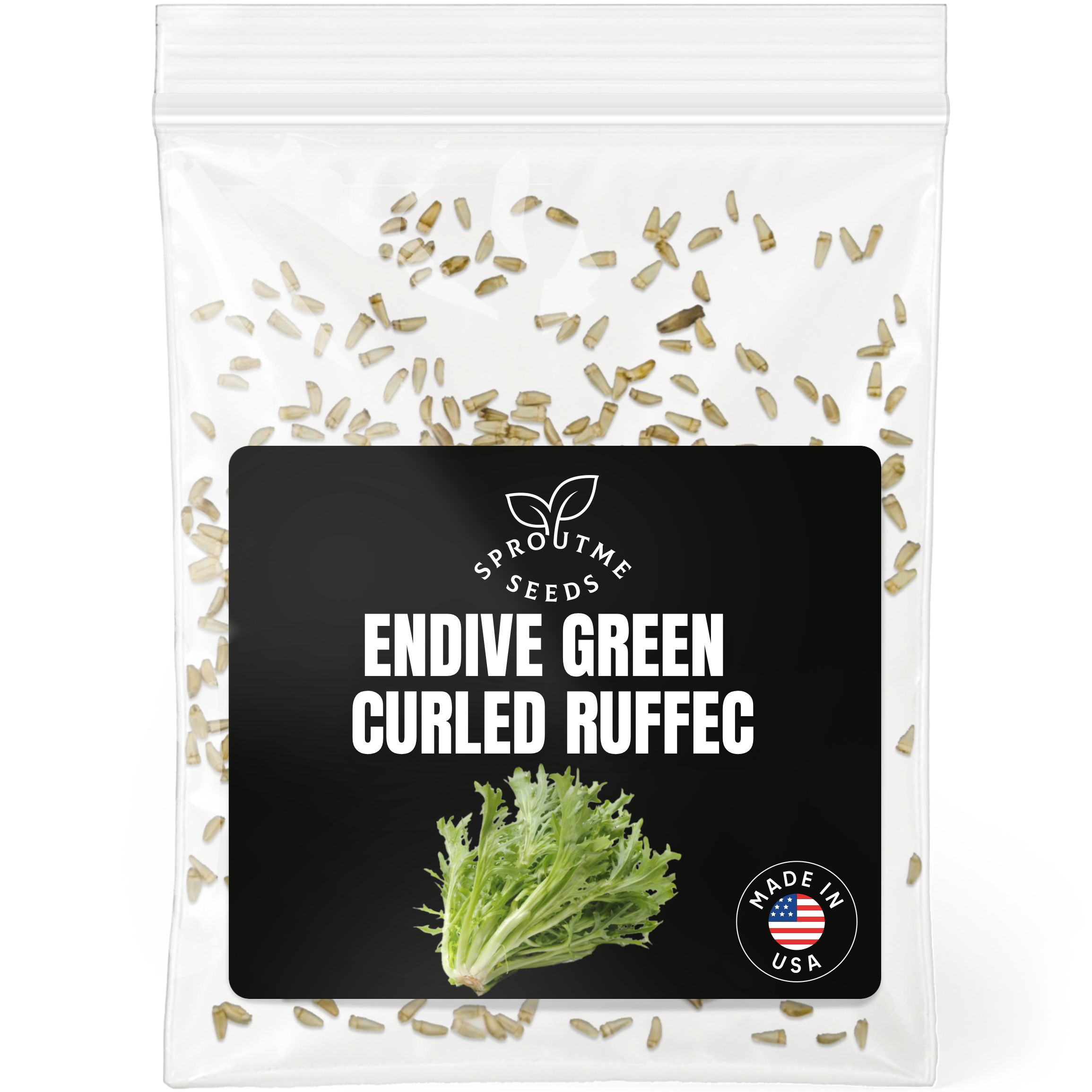 Endive Curled Ruffec Seeds 500+ Seeds – Non-GMO Frisée Type Greens - Organo Republic seeds store Endive Curled Ruffec Seeds 500+ Seeds – Non-GMO Frisée Type Greens