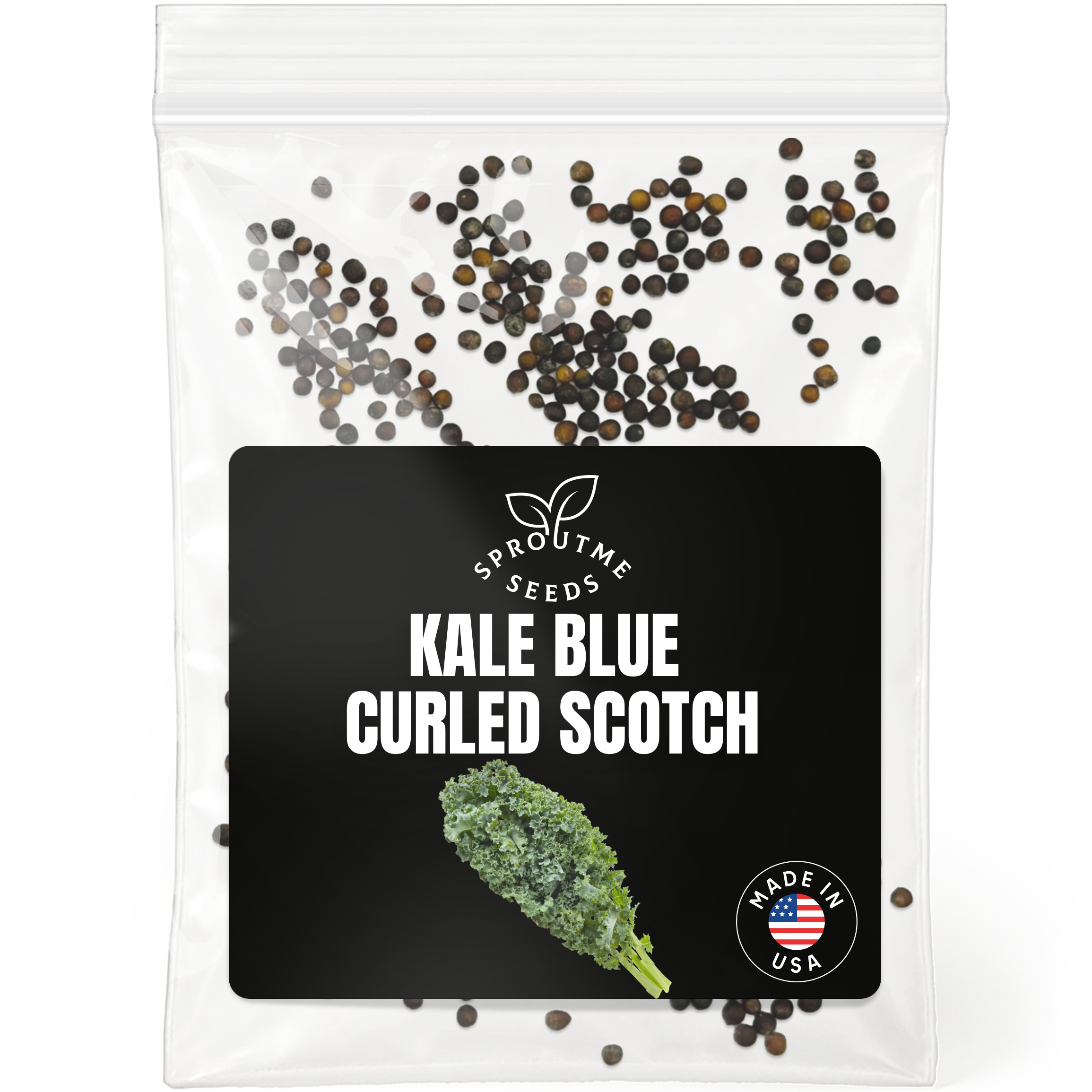 Kale Blue Curled Seeds 500+ Seeds – Non-GMO Heirloom Leafy Greens - Organo Republic seeds store Kale Blue Curled Seeds 500+ Seeds – Non-GMO Heirloom Leafy Greens