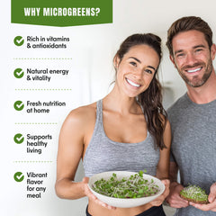 Microgreens & Sprouting Seeds Variety Pack – 10 Varieties for Indoor & Outdoor Growing, Non-GMO Heirloom – Arugula, Beet, Basil, Broccoli, Cabbage, Kale, Mustard, Pea, Radish, Spinach - Organo Republic seeds store Microgreens & Sprouting Seeds Variety Pack – 10 Varieties for Indoor & Outdoor Growing, Non-GMO Heirloom – Arugula, Beet, Basil, Broccoli, Cabbage, Kale, Mustard, Pea, Radish, Spinach