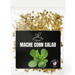 Mâche Corn Salad Seeds 500+ Seeds – Non-GMO Cold-Hardy Salad Greens - Organo Republic seeds store Mâche Corn Salad Seeds 500+ Seeds – Non-GMO Cold-Hardy Salad Greens