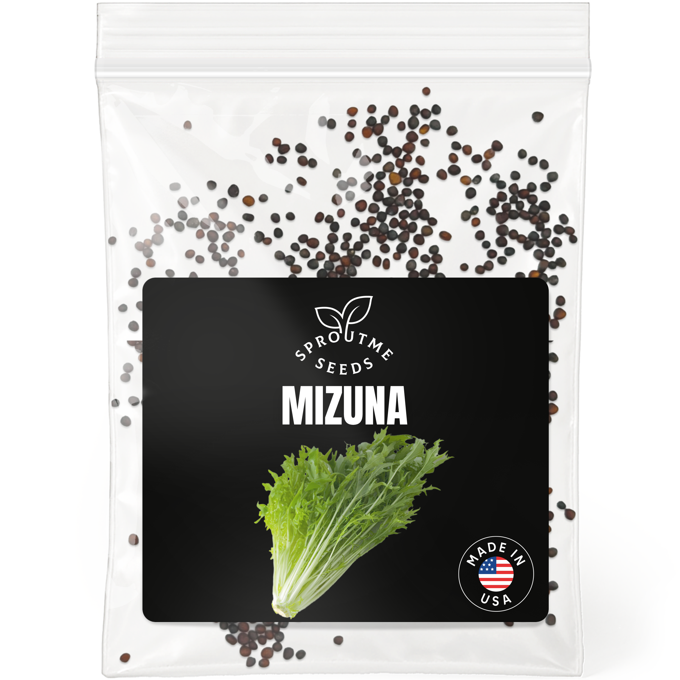 Mizuna Seeds 500+ Seeds – Non-GMO Japanese Mustard Greens - Organo Republic seeds store Mizuna Seeds 500+ Seeds – Non-GMO Japanese Mustard Greens