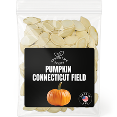Pumpkin Connecticut Field Seeds 100+ Seeds – Non-GMO Heirloom Pumpkin - Organo Republic seeds store Pumpkin Connecticut Field Seeds 100+ Seeds – Non-GMO Heirloom Pumpkin