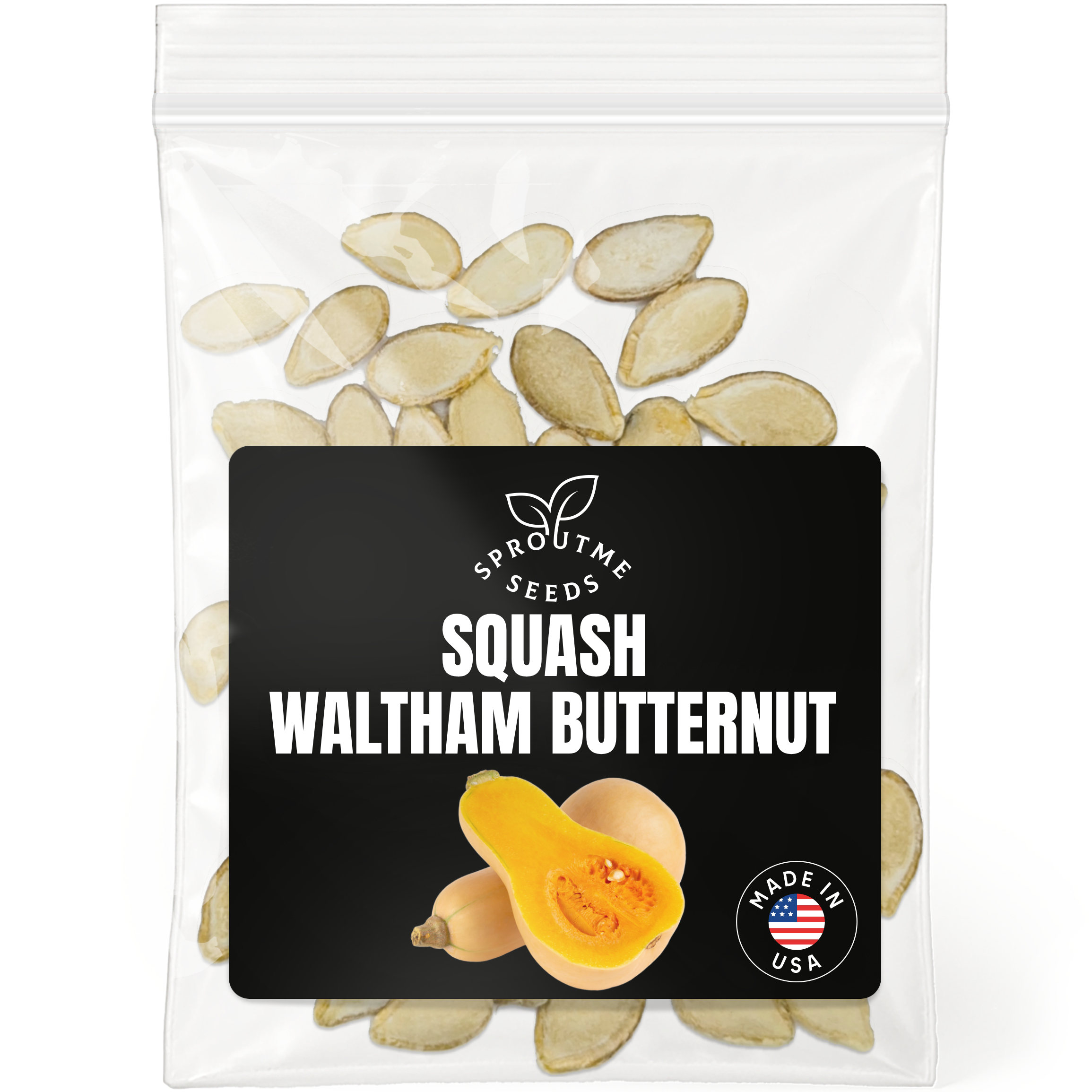 Butternut Squash Seeds 50+ Seeds – Non-GMO Winter Squash Variety - Organo Republic seeds store Butternut Squash Seeds 50+ Seeds – Non-GMO Winter Squash Variety