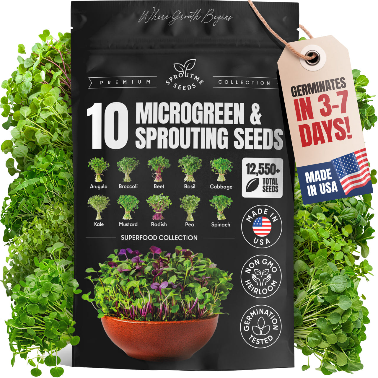 Microgreens & Sprouting Seeds Variety Pack – 10 Varieties for Indoor & Outdoor Growing, Non-GMO Heirloom – Arugula, Beet, Basil, Broccoli, Cabbage, Kale, Mustard, Pea, Radish, Spinach