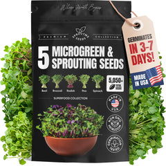 Microgreens & Sprouting Seeds Variety Pack – 5 Varieties for Indoor Growing & Hydroponic Use, Non-GMO Heirloom, 5,050 Seeds Total – Basil, Broccoli, Radish, Pea & Spinach
