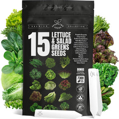 15 Lettuce & Salad Greens Seeds Variety Pack - Lettuce Garden Starter Kit with Plant Labels | 7300+ Non-GMO Heirloom Seeds for Indoor, Outdoor Planting: Arugula, Spinach Kale, Iceberg Lettuce Seeds