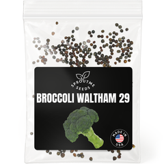 Broccoli Waltham 29 Seeds 300+ Seeds – Non-GMO Heirloom Garden Variety