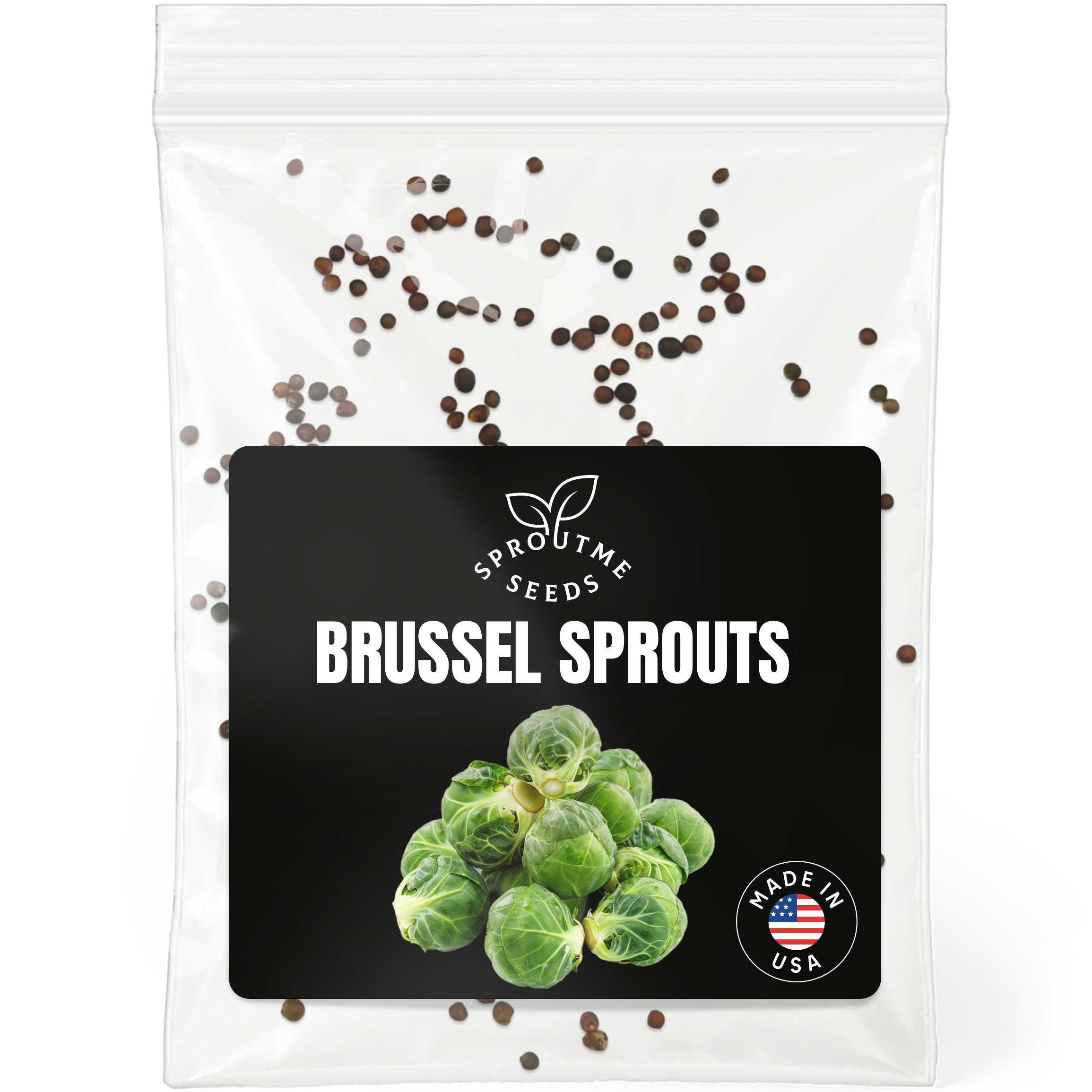 Brussels Sprouts Seeds 200+ Seeds – Non-GMO Heirloom Cool-Season Crop