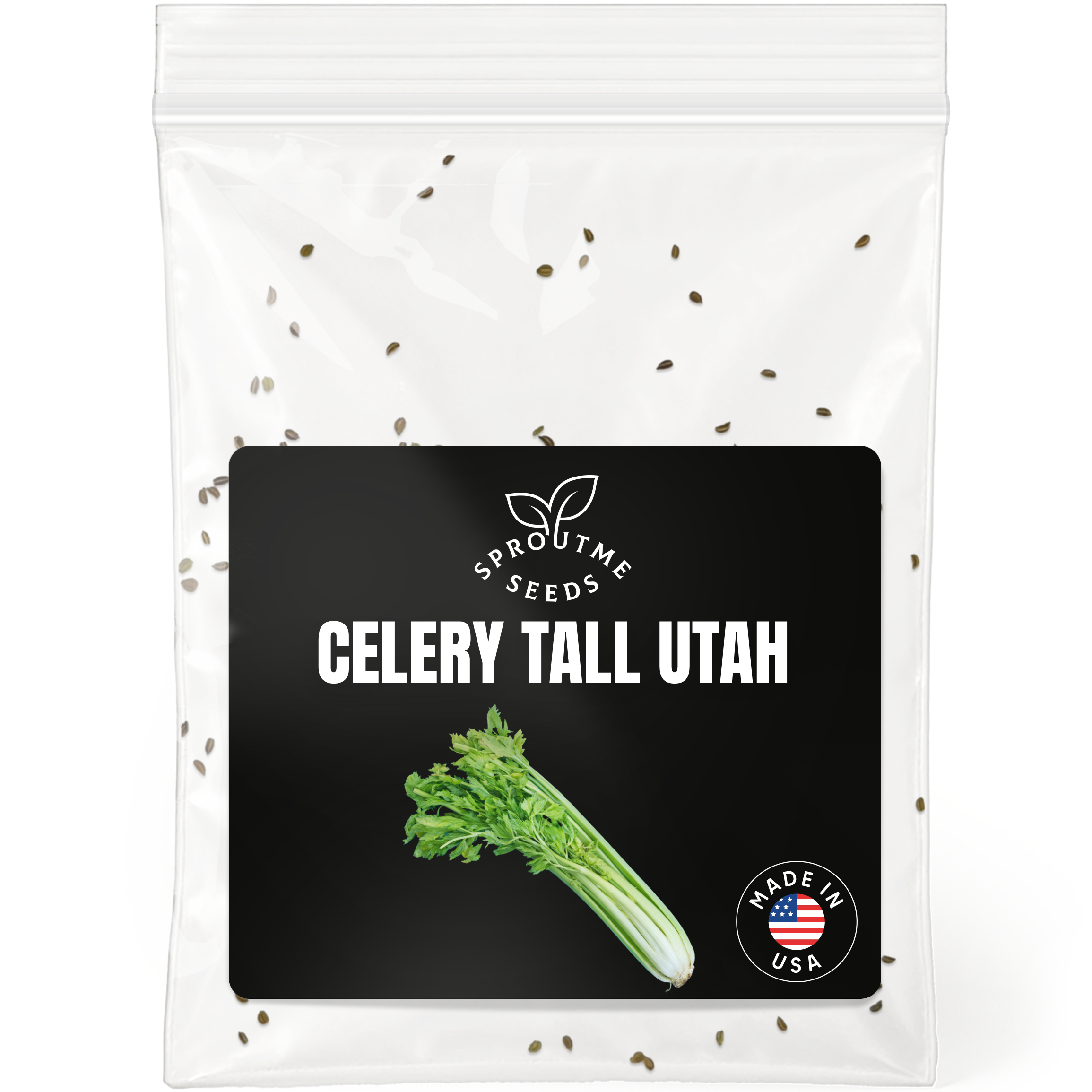 Celery Tall Utah Seeds 200+ Seeds – Non-GMO Crisp Garden Celery