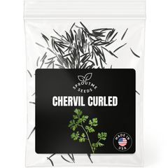 Chervil Seeds 300+ Seeds – Non-GMO Gourmet Culinary Herb