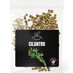 Cilantro Seeds 200+ Seeds – Non-GMO Fresh Culinary Herb