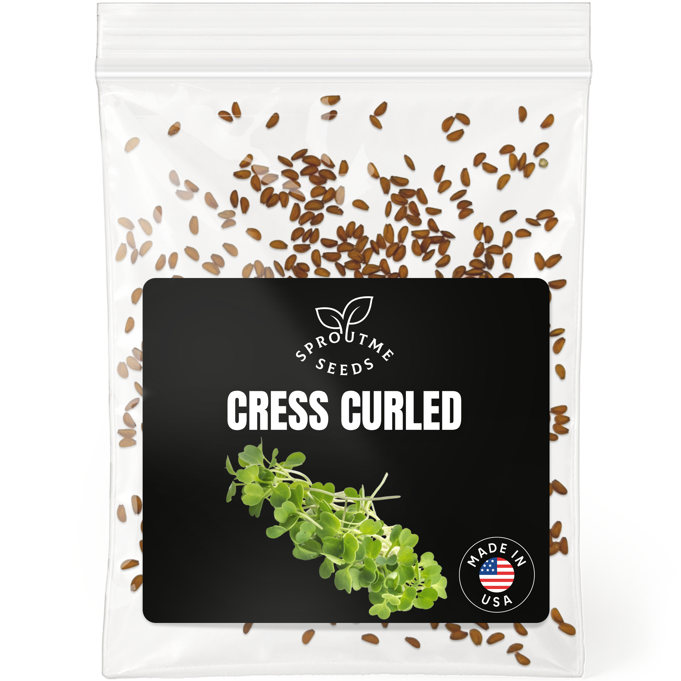 Cress Curled Seeds 500+ Seeds – Non-GMO Fast-Growing Peppery Greens