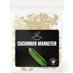 Cucumber Marketmore 76 Seeds 200+ Seeds – Non-GMO Slicing Cucumber