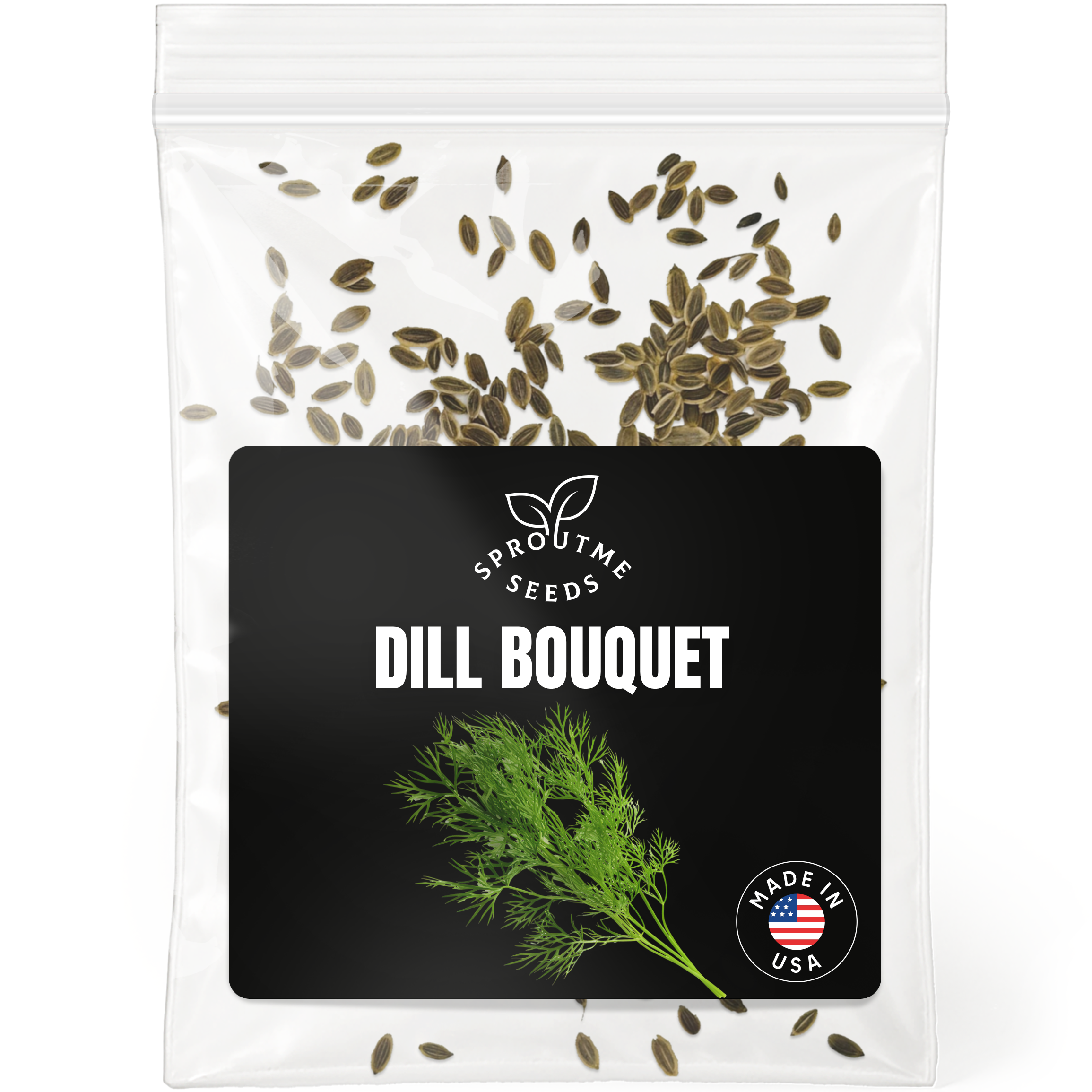 Dill Seeds 200+ Seeds – Non-GMO Aromatic Culinary Herb