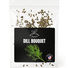 Dill Seeds 200+ Seeds – Non-GMO Aromatic Culinary Herb