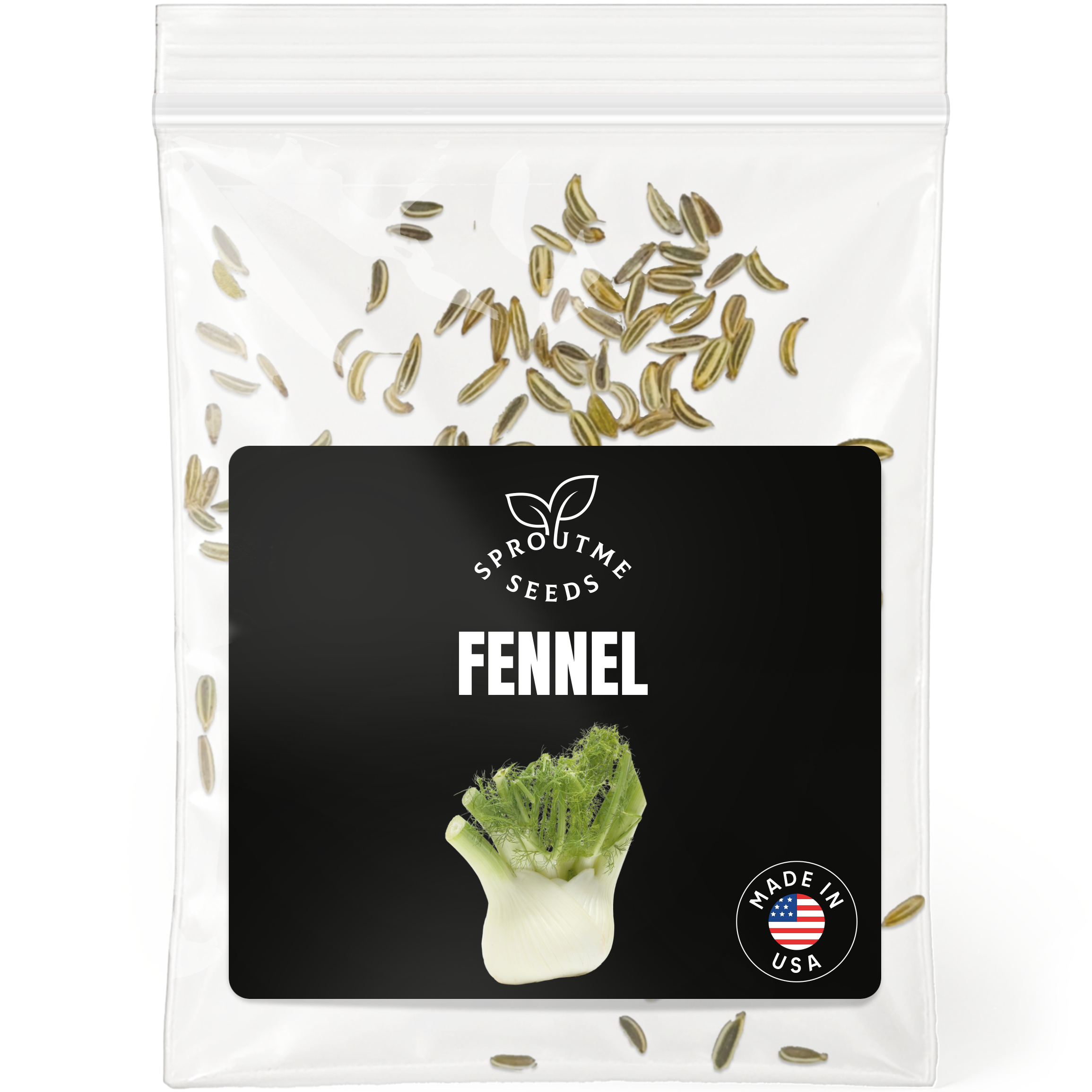 Fennel Seeds 150+ Seeds – Non-GMO Aromatic Culinary Herb