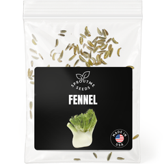 Fennel Seeds 150+ Seeds – Non-GMO Aromatic Culinary Herb
