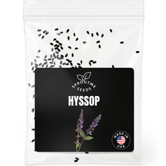 Hyssop Seeds 150+ Seeds – Non-GMO Aromatic Herb & Pollinator Friendly