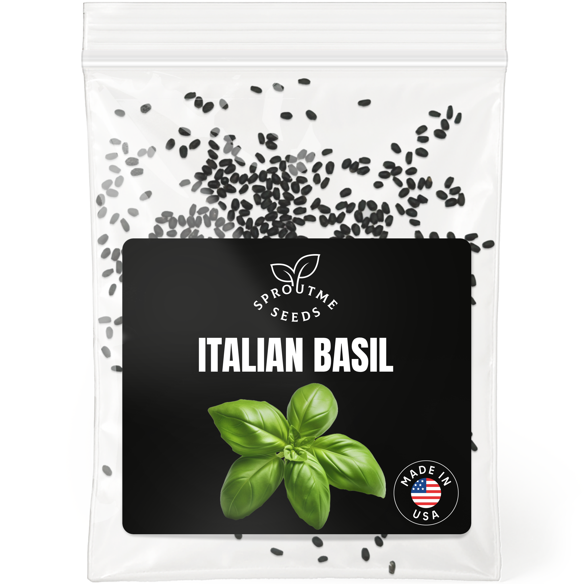 Italian Basil Seeds 500+ Seeds – Non-GMO Classic Culinary Herb