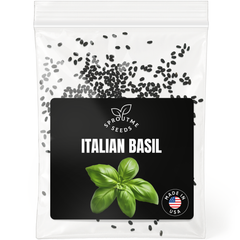 Italian Basil Seeds 500+ Seeds – Non-GMO Classic Culinary Herb