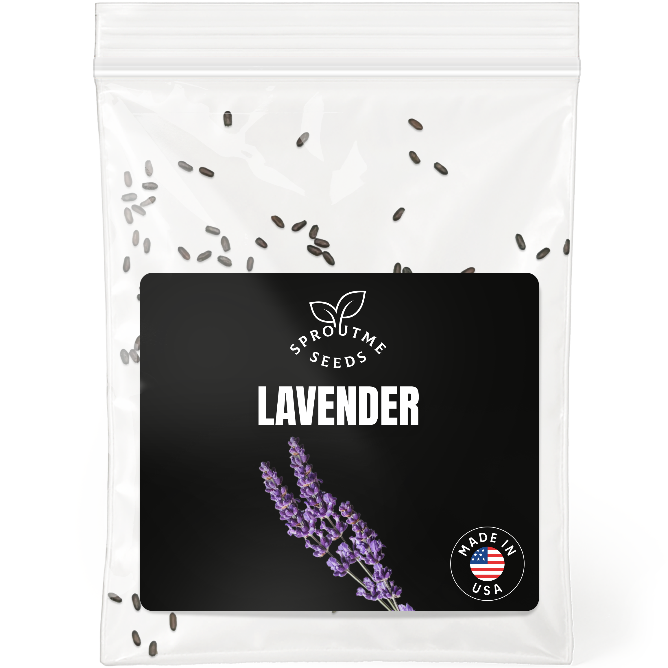 Lavender Seeds 100+ Seeds – Non-GMO Fragrant Herb & Pollinator Friendly