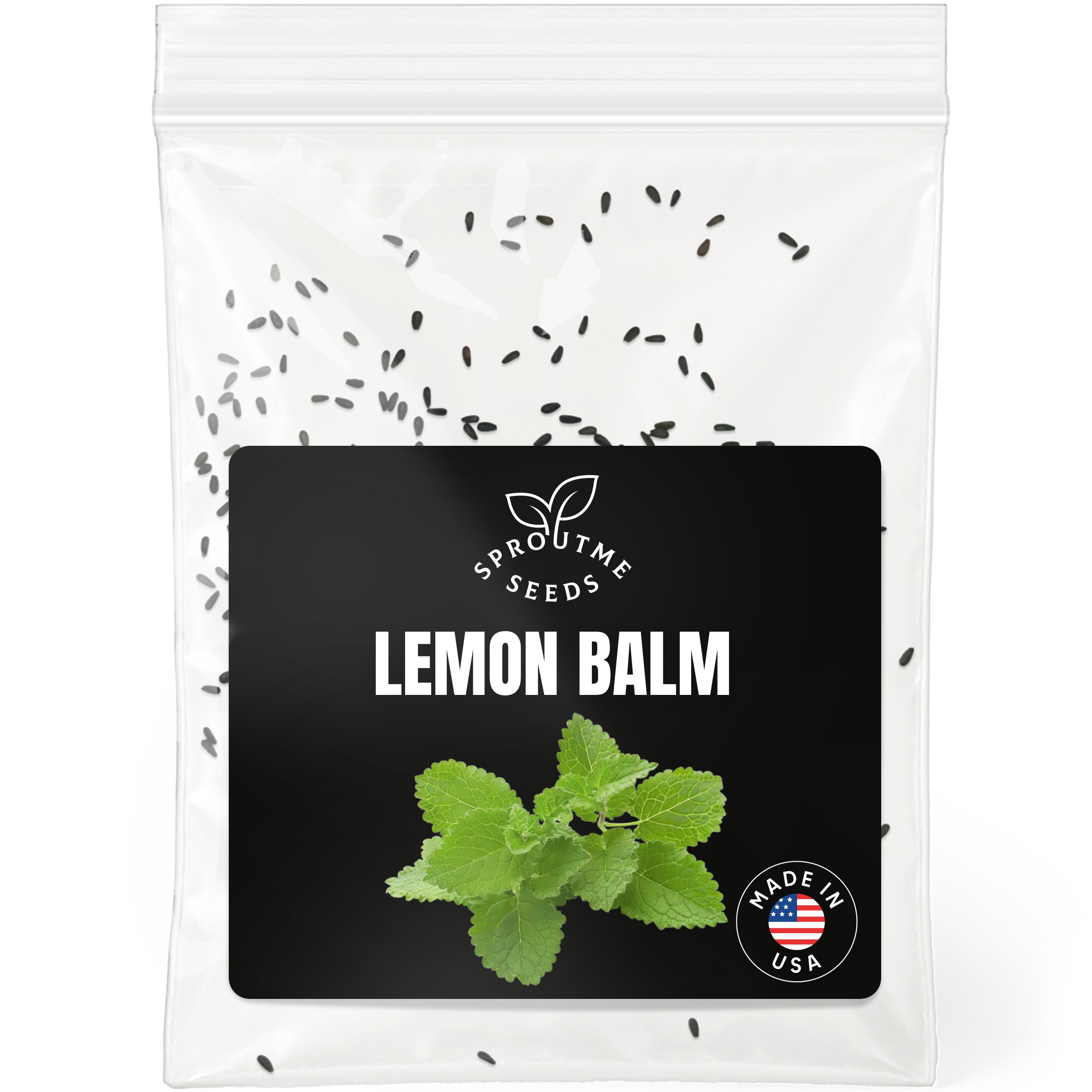 Lemon Balm Seeds 200+ Seeds – Non-GMO Calming Herbal Tea Herb