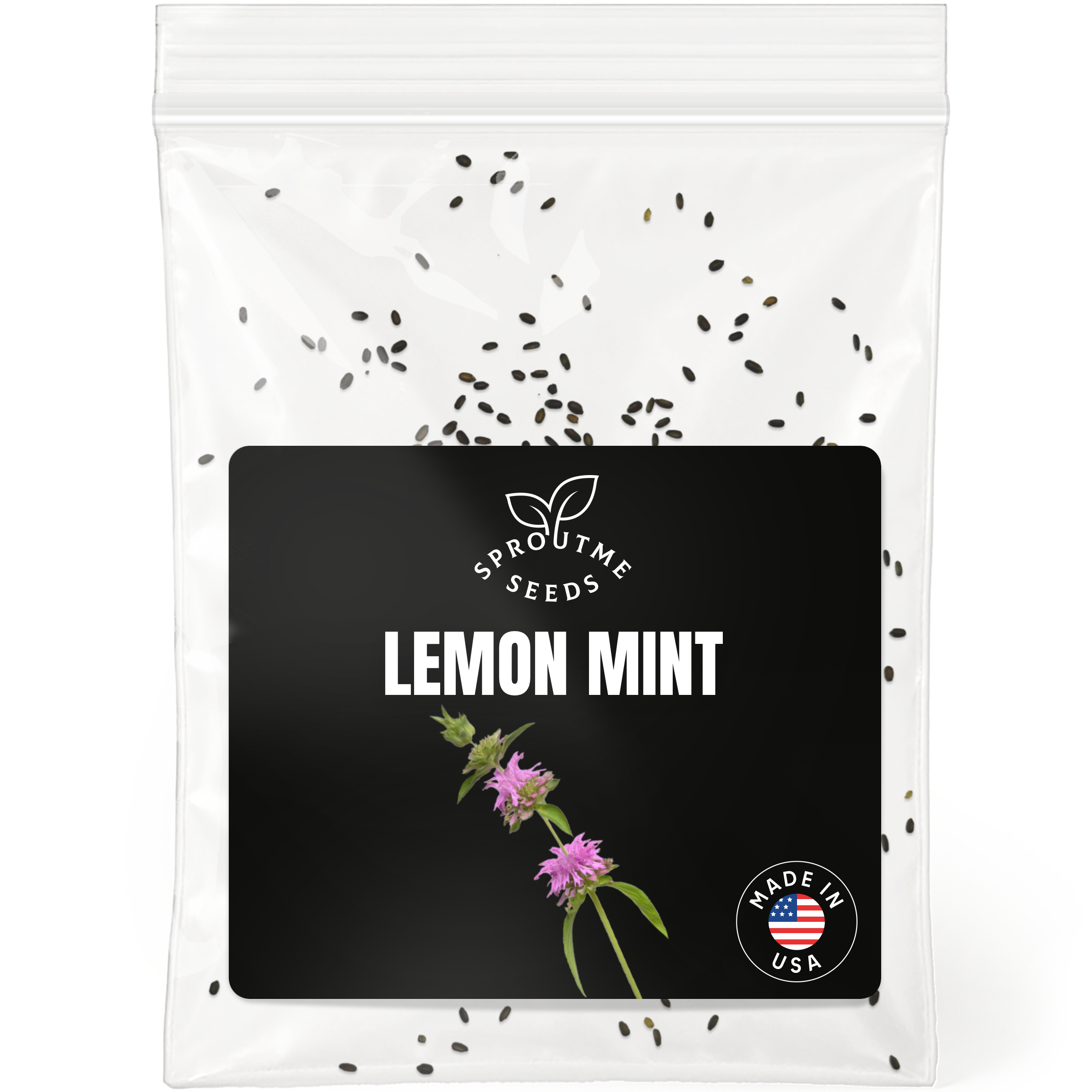 Lemon Mint Seeds 200+ Seeds – Non-GMO Aromatic Herbal Tea Herb