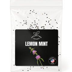 Lemon Mint Seeds 200+ Seeds – Non-GMO Aromatic Herbal Tea Herb