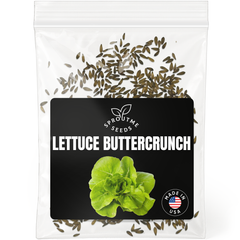 Lettuce Buttercrunch Seeds 500+ Seeds – Non-GMO Bibb Type Lettuce