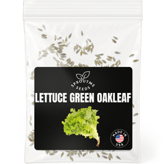 Lettuce Green Oakleaf Seeds 500+ Seeds – Non-GMO Tender Leaf Lettuce