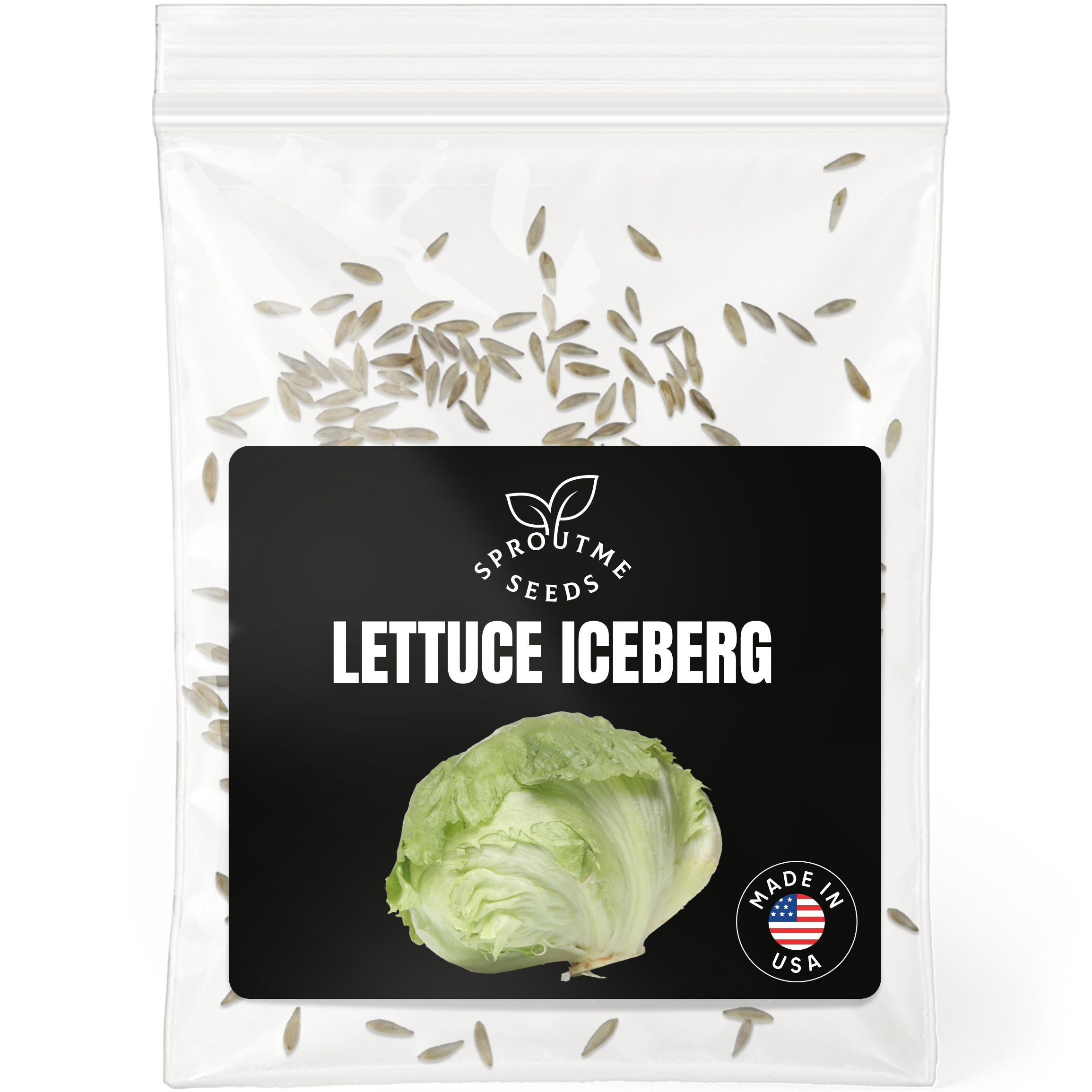Lettuce Iceberg Seeds 500+ Seeds – Non-GMO Crisphead Garden Lettuce