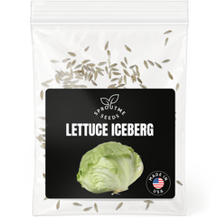 Lettuce Iceberg Seeds 500+ Seeds – Non-GMO Crisphead Garden Lettuce