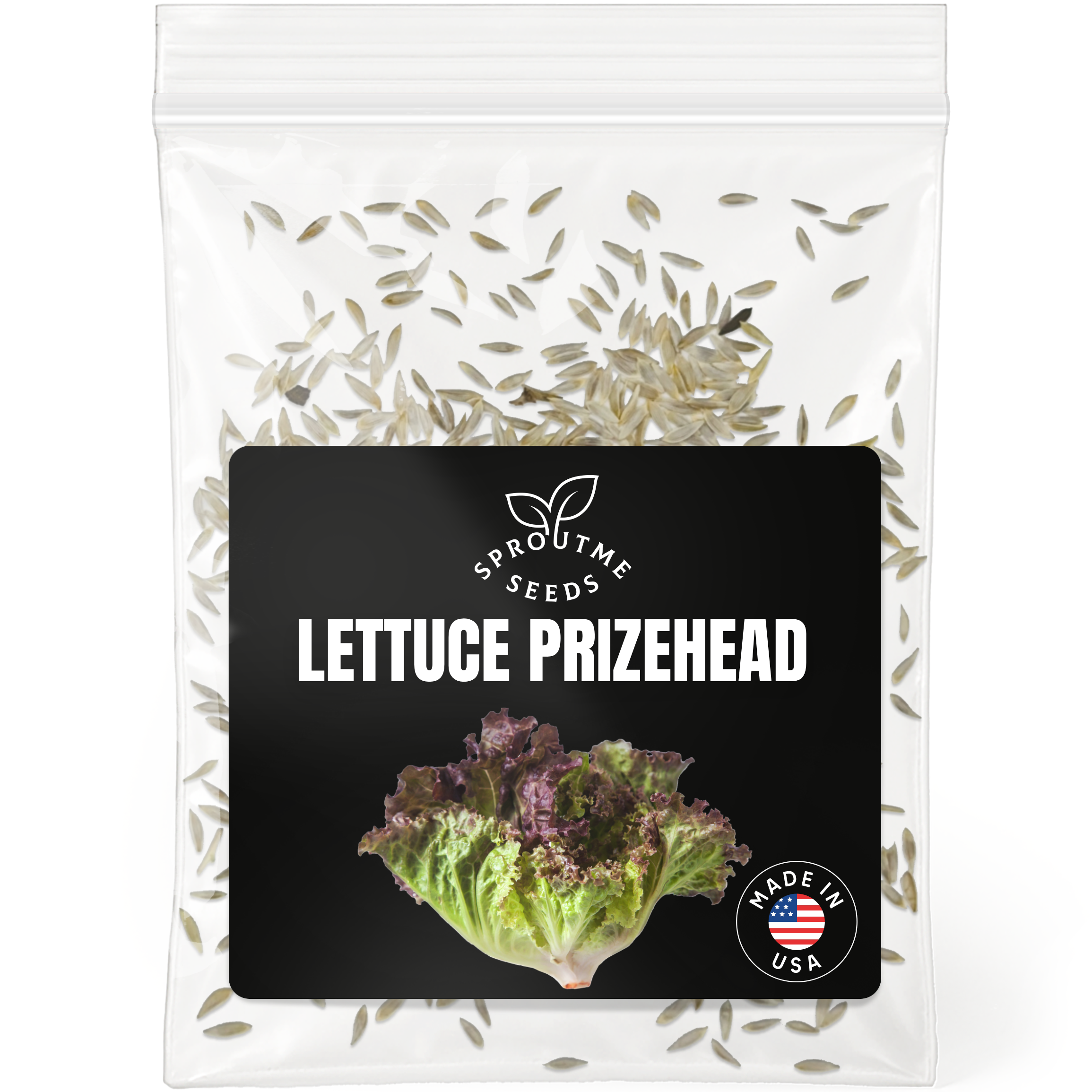 Lettuce Prizehead Seeds 500+ Seeds – Non-GMO Heirloom Leaf Lettuce