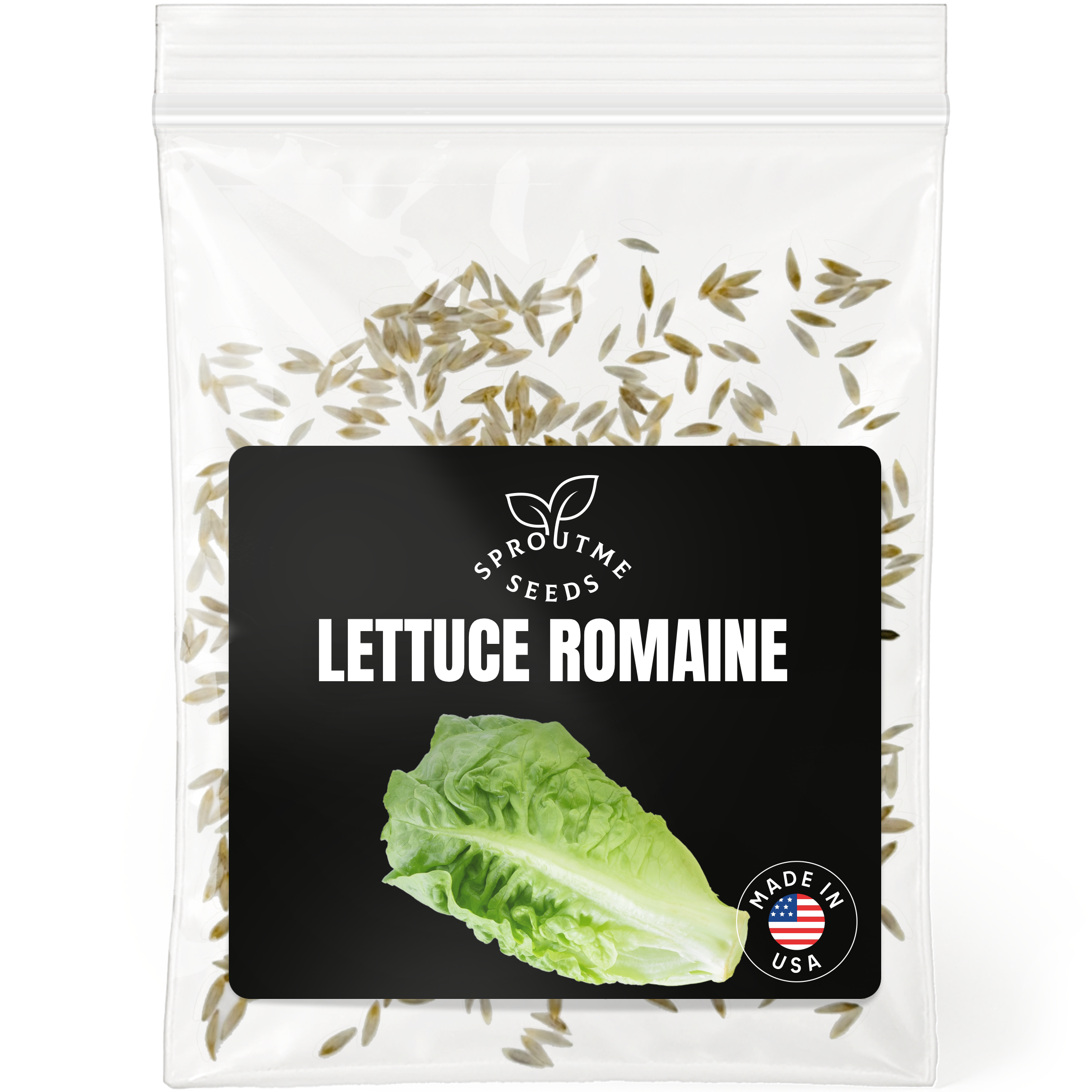 Romaine Lettuce Seeds 500+ Seeds – Non-GMO Crisp Garden Salad Greens