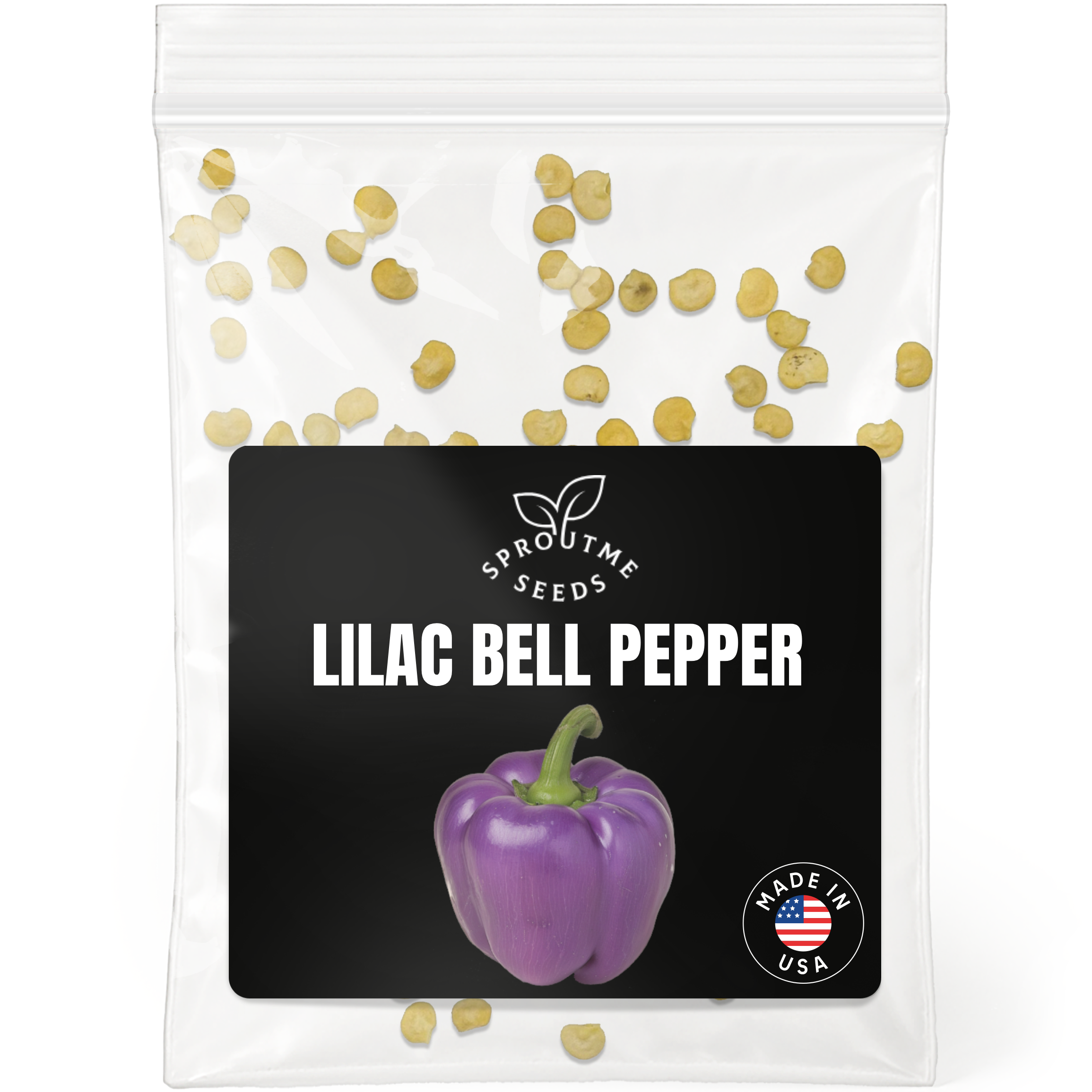 Purple Beauty Pepper Seeds 50+ Seeds – Non-GMO Sweet Bell Pepper