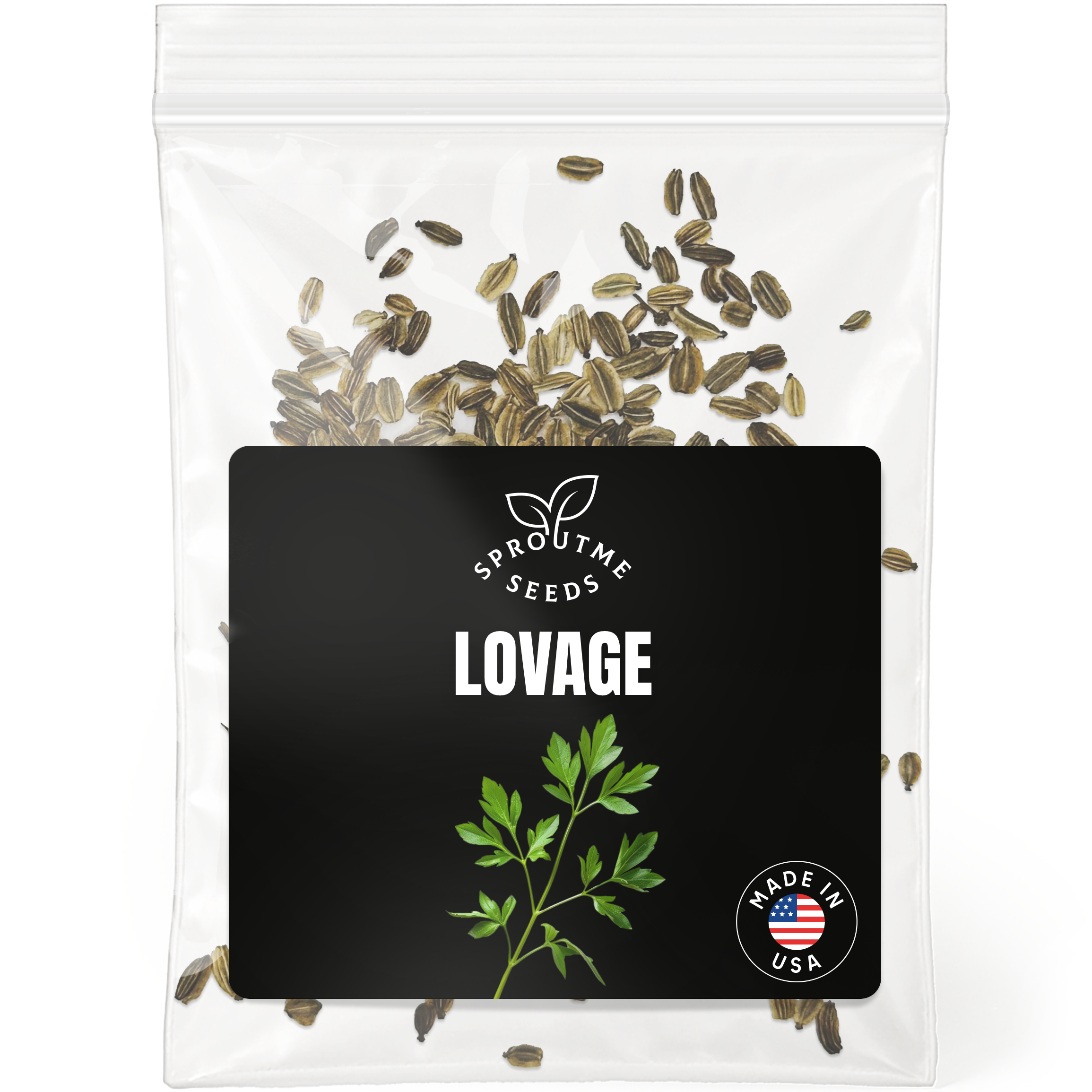 Lovage Seeds 200+ Seeds – Non-GMO Aromatic Heirloom Culinary Herb