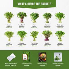 Microgreens & Sprouting Seeds Variety Pack – 10 Varieties for Indoor & Outdoor Growing, Non-GMO Heirloom – Arugula, Beet, Basil, Broccoli, Cabbage, Kale, Mustard, Pea, Radish, Spinach
