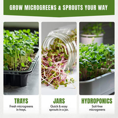 Microgreens & Sprouting Seeds Variety Pack – 10 Varieties for Indoor & Outdoor Growing, Non-GMO Heirloom – Arugula, Beet, Basil, Broccoli, Cabbage, Kale, Mustard, Pea, Radish, Spinach