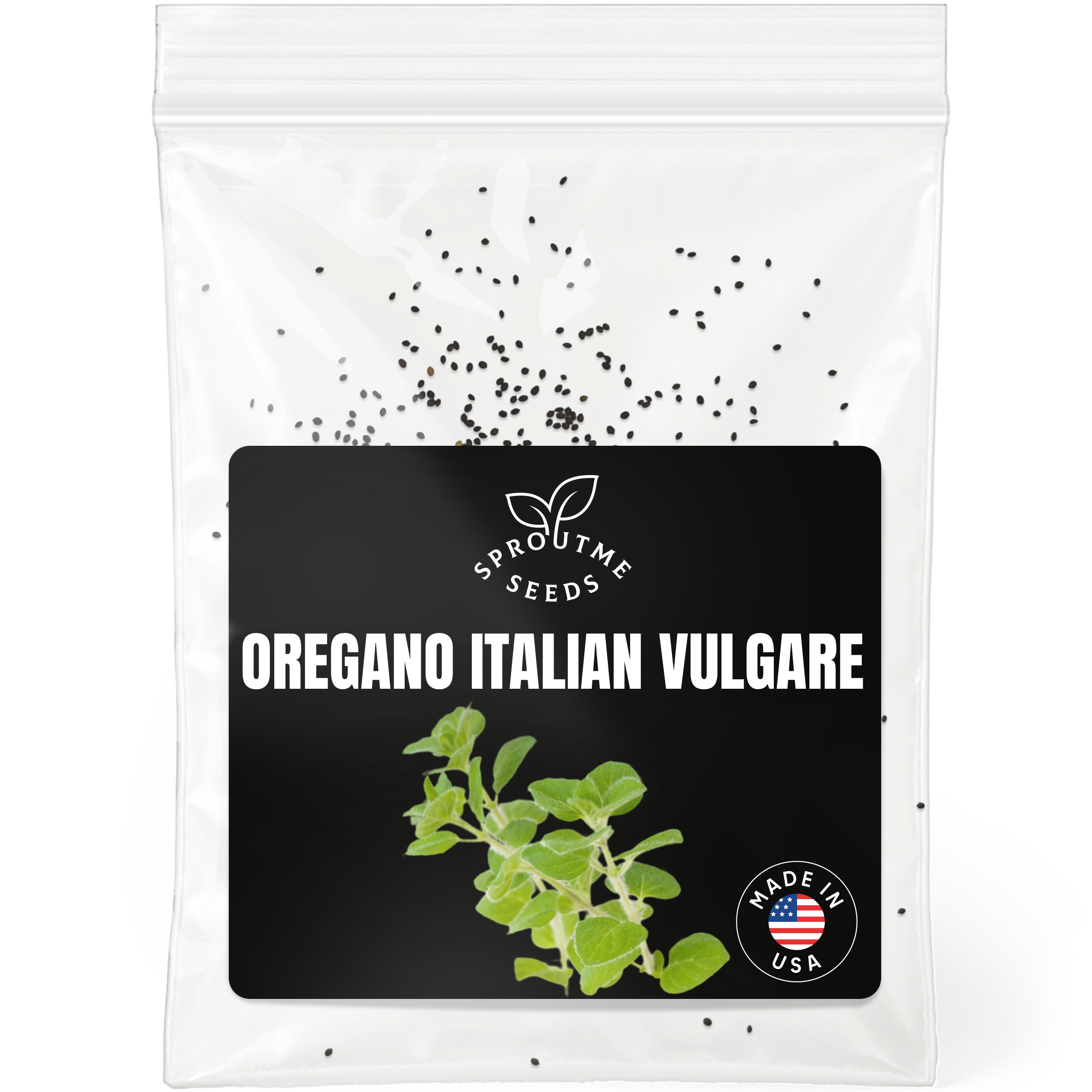 Oregano Seeds 400+ Seeds – Non-GMO Aromatic Culinary Herb