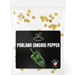 Poblano Ancho Pepper Seeds 50+ Seeds – Non-GMO Mild Heat Pepper