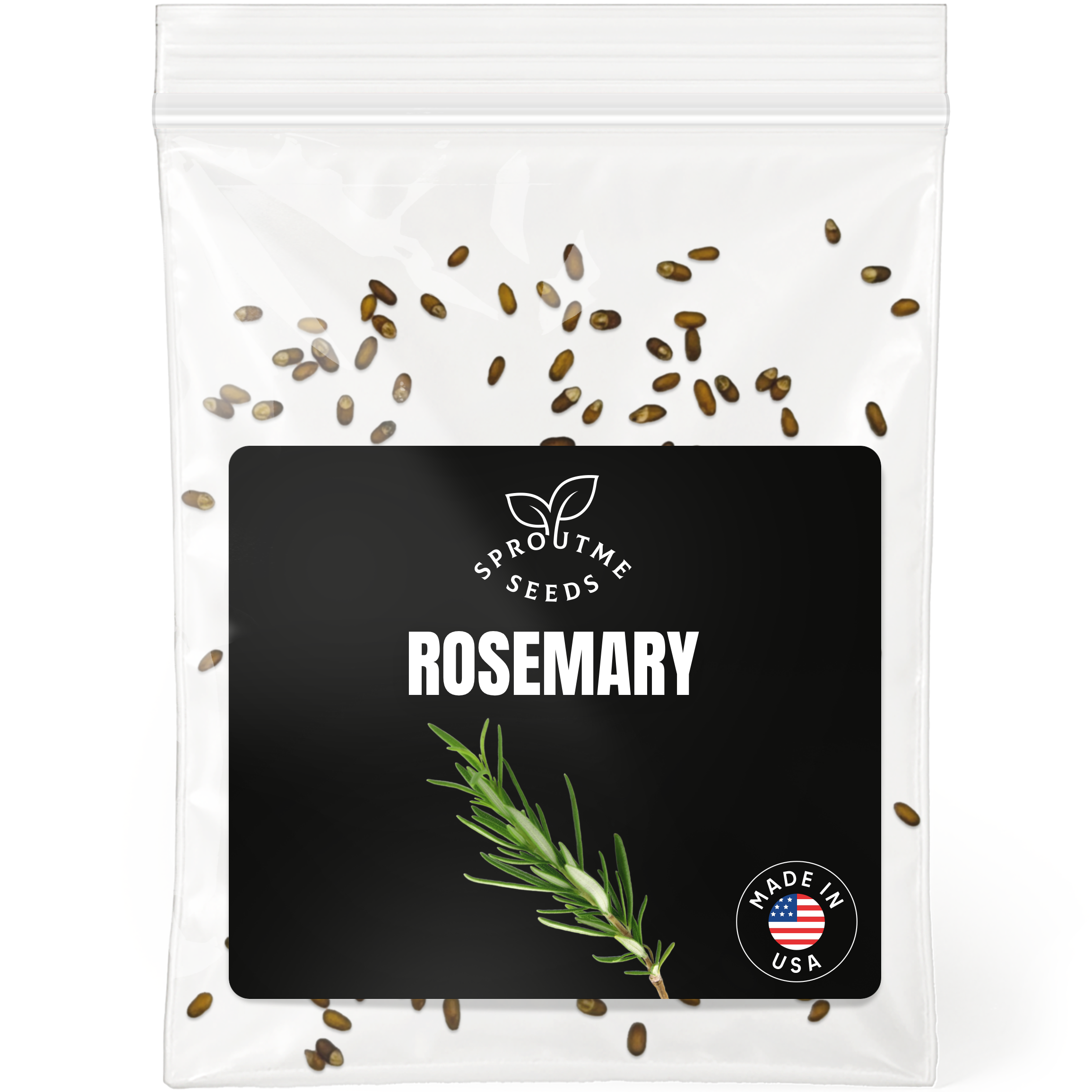 Rosemary Seeds 100+ Seeds – Non-GMO Aromatic Culinary Herb