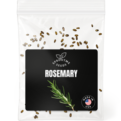 Rosemary Seeds 100+ Seeds – Non-GMO Aromatic Culinary Herb